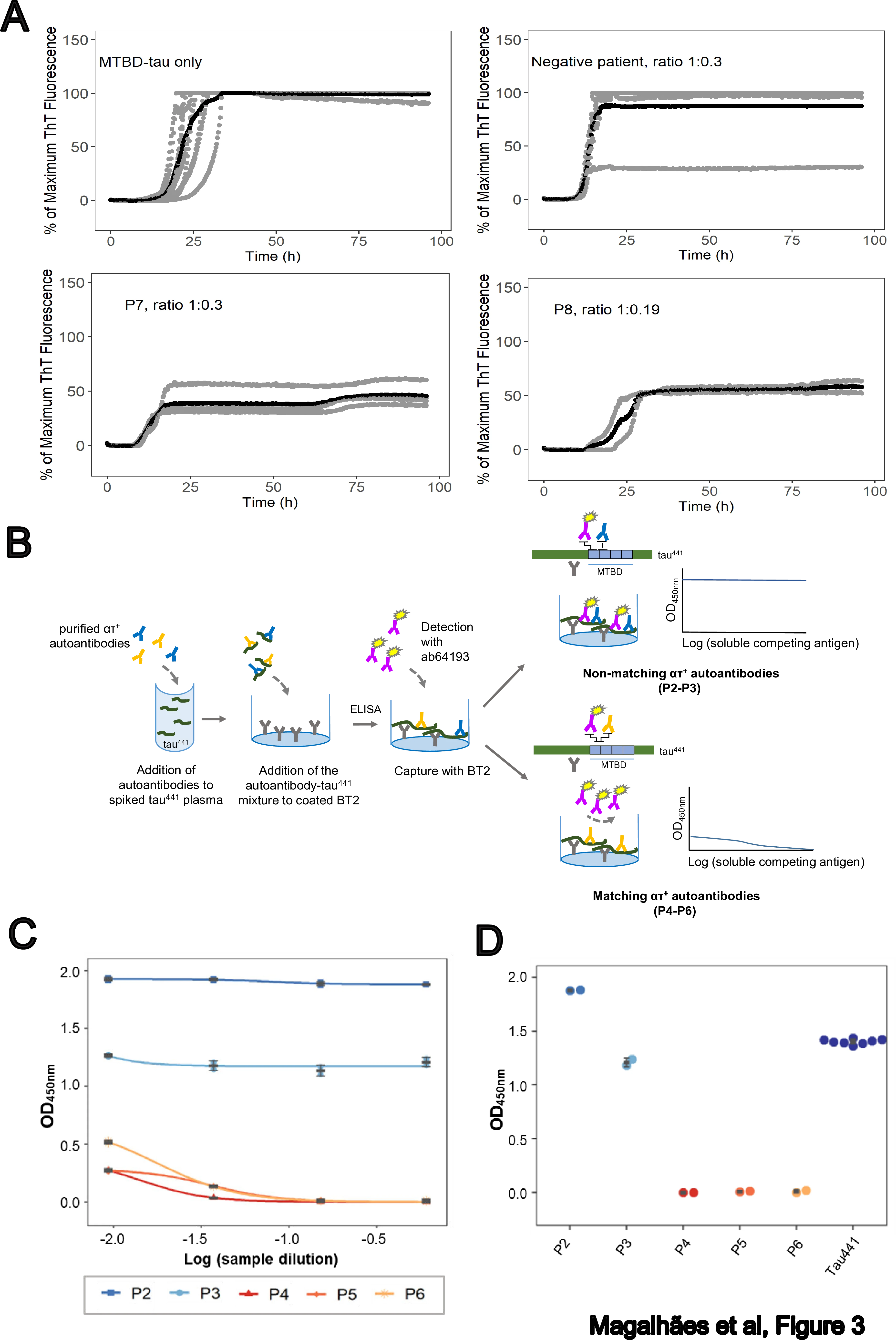 Functional effects of endogenous anti-tau antibodies on tau aggregation and detection