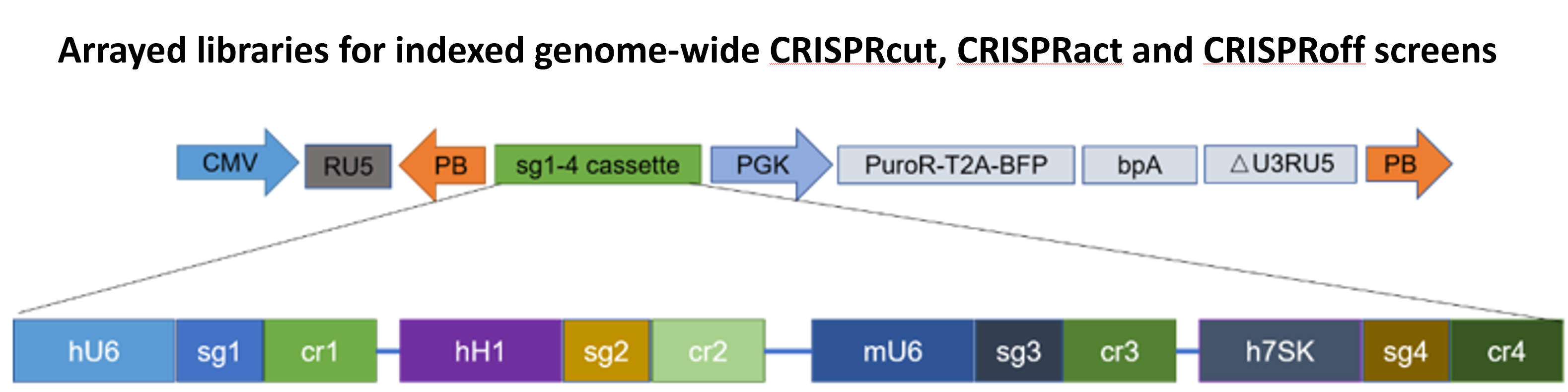 Quadruple guide design