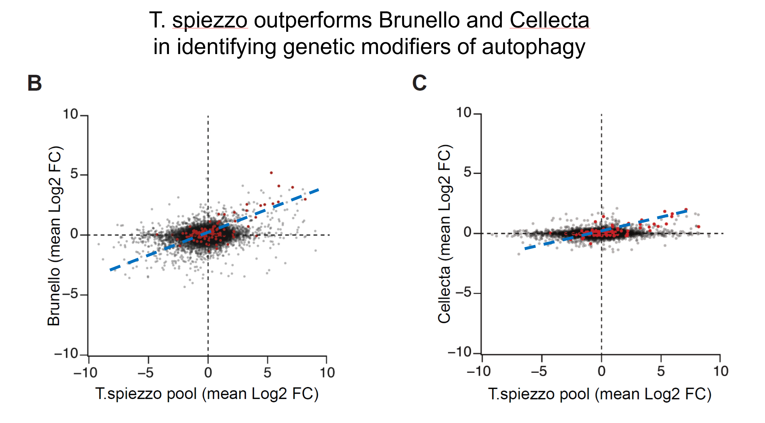 Autophagy screen results