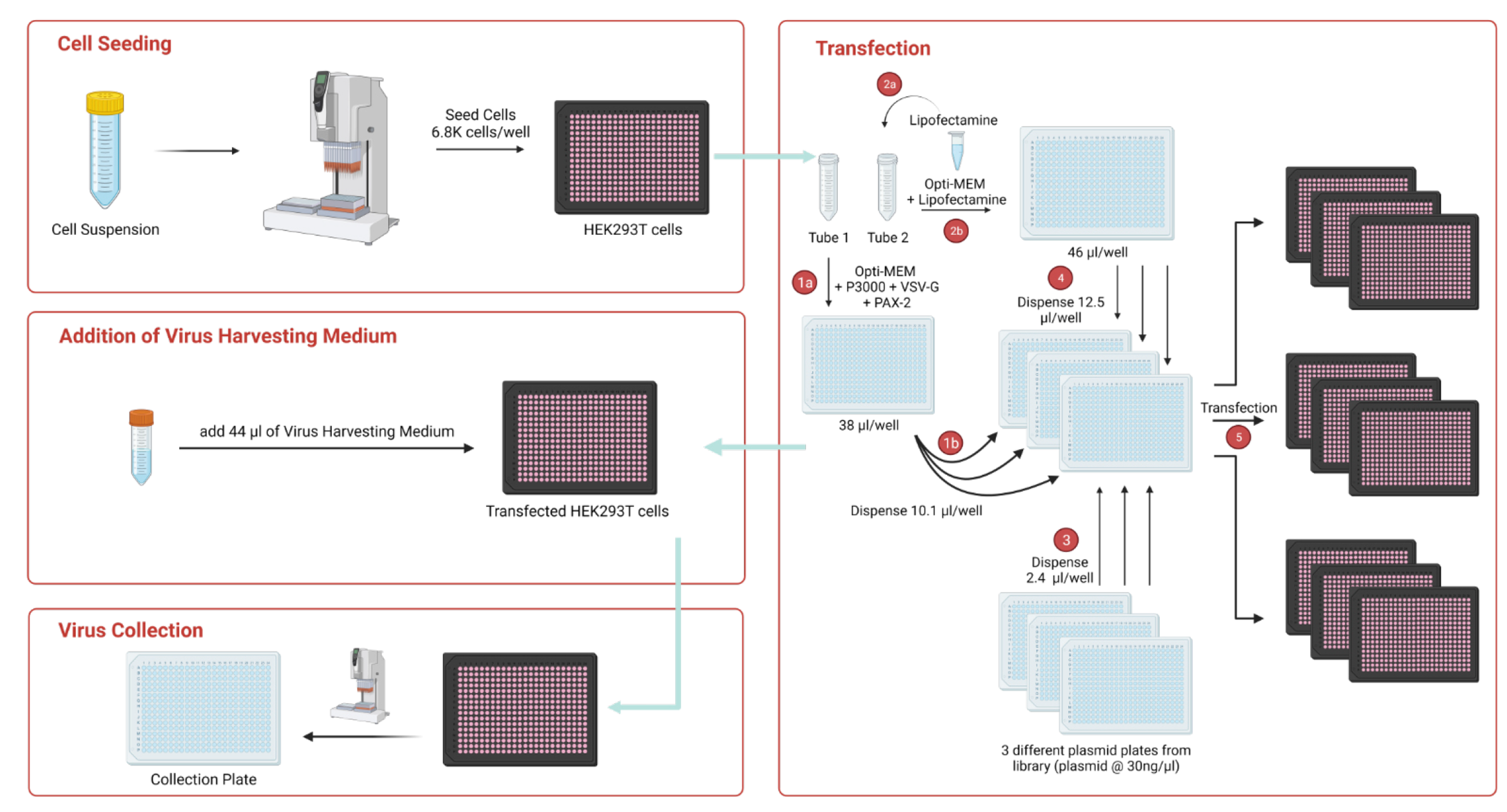 Virus production pipeline